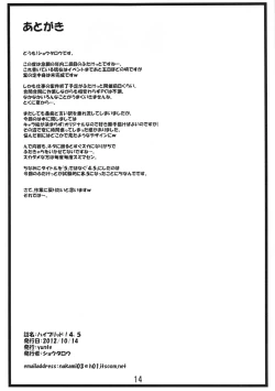 Page 13 of Hybrid! 4.5