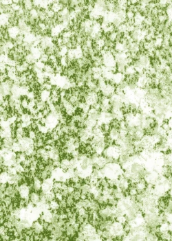 Page 78 of WETM Oppai ga ookisugiru onnanoko tachi no ohanashi