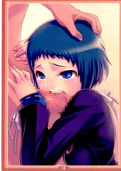 Page 14 of CyoCyo's illustration 02