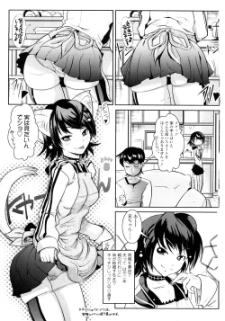 Page 3 of Groove Tube