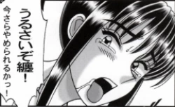 Page 246 of 早乙女組総集編２ 携帯サイズ