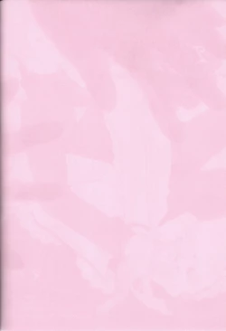 Page 1 of Il cielo sulla terra!