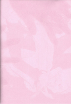 Download Il cielo sulla terra!