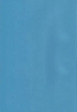 Page 41 of Hot Summer!