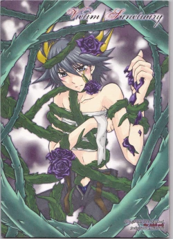 Page 1 of Victim Sanctuary