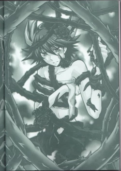 Page 3 of Victim Sanctuary