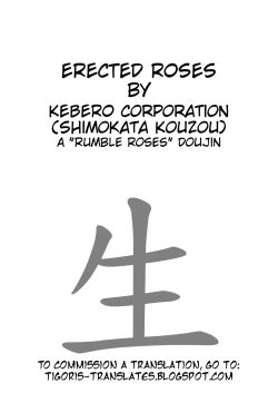 Page 2 of ERECTED ROSES