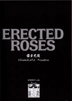 Page 4 of ERECTED ROSES