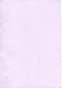 Page 2 of LUNA STLIKE Prototype