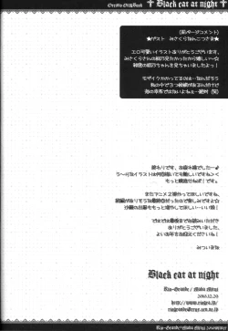 Page 15 of Black cat at night