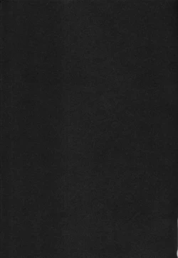 Page 2 of Black cat at night