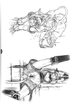 Page 18 of Mithman Report 2008