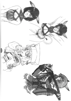 Page 40 of Mithman Report 2008