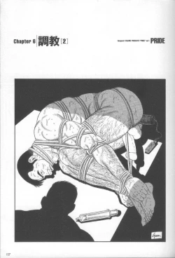 Page 160 of Pride VOL.1