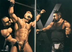 Page 11 of Pride VOL.2