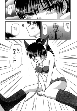 Page 40 of Chaku Ero Shoukougun