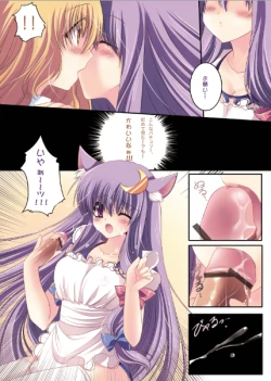 Page 9 of Taitou Marisa-Patchouli