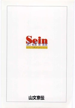 Page 3 of Sein Zain