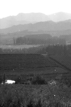 Page 24 of Hougen Danshi Anthology