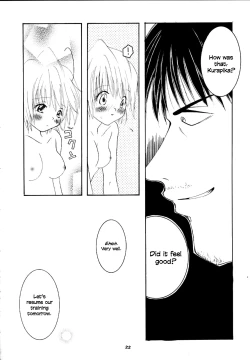 Page 19 of Pink Snow memoriaenglish