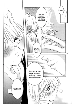 Page 29 of Pink Snow memoriaenglish