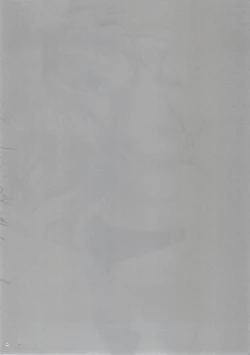 Page 3 of Noble Hip!