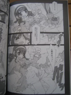 Page 11 of Kaizoku Ojou