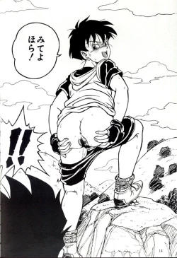 Page 13 of Dragonball H Maguwai Maki Ni