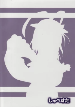 Page 14 of [SchwesterRollin 29