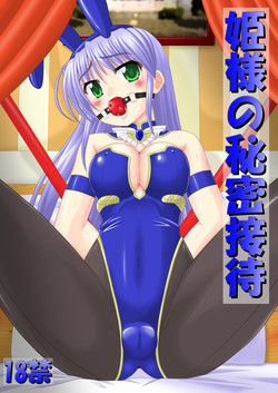 Download Hime-sama no Himitsu Settai