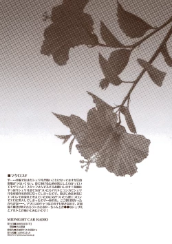 Page 17 of MIDNIGHT CAR RADIO