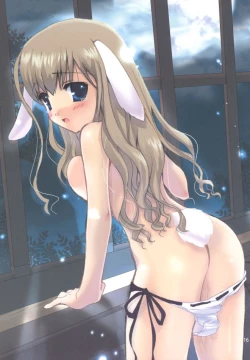 Page 15 of Rosa Gigantea to Yobanaide