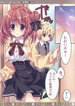 Page 3 of Soushisouai Ane Ecchi