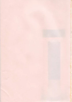 Page 199 of Soukai Engi Twiny-Attraction