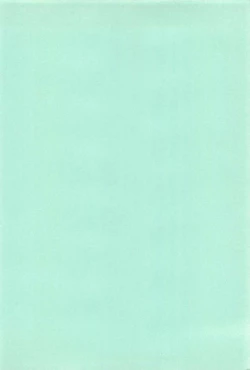 Page 171 of Manimani