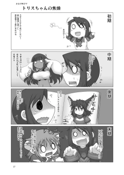 Page 27 of Genjuu Kaigi 4