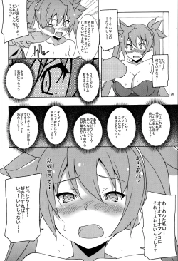 Page 27 of PRIDE BREAKER