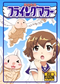 Page 1 of Flying Mara