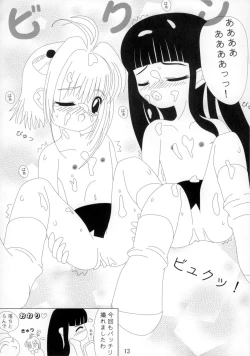 Page 14 of Video Captor TOMOYO 1