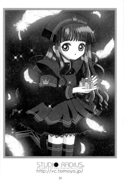 Page 21 of Video Captor TOMOYO 1