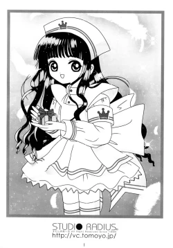 Page 2 of Video Captor TOMOYO 1