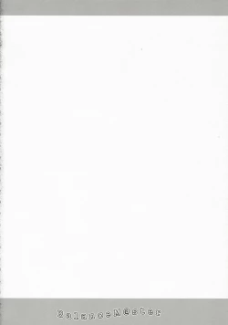 Page 3 of BalanceM@ster