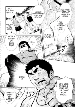 Page 10 of Male Honey Bee