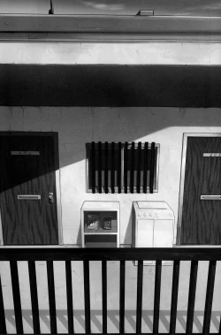 Page 3 of Rinjin x Kareshi