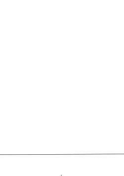 Page 4 of Nyandemo wa Shiranyai Nya. Shitteru Kotodake Nya