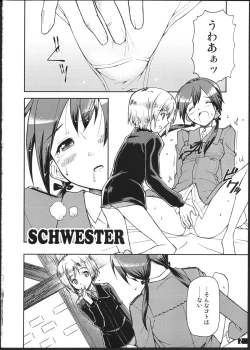 Page 3 of SCHWESTER