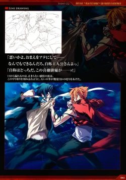 Page 45 of Dies irae Visual Fanbook - Red Book