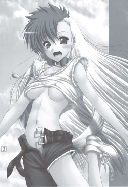 Page 2 of Wanko no Daitaian