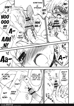 Page 12 of Minene-sama no Niizuma Nikki