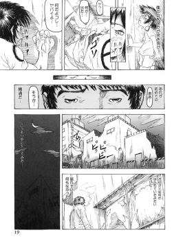 Page 19 of Majiwari Ni Tsuite No Kousatsu